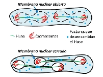 CABD Cell Reports